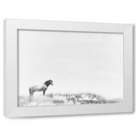 Lone Beach Horse White Modern Wood Framed Art Print by Curinga, Kim