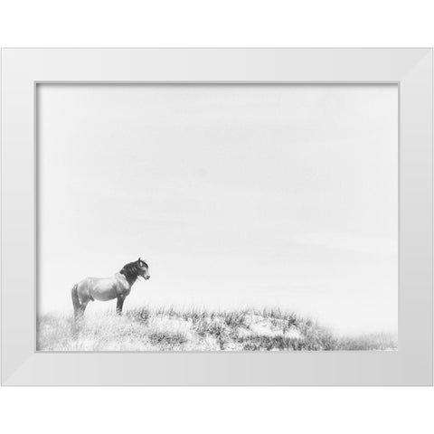 Lone Beach Horse White Modern Wood Framed Art Print by Curinga, Kim