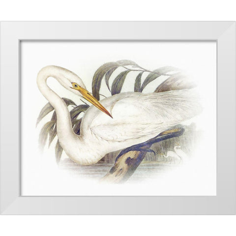 Sentimental Plumage II White Modern Wood Framed Art Print by Hunziker, Steve
