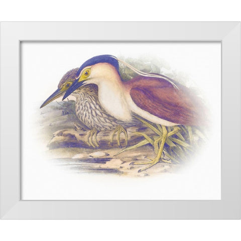 Sentimental Plumage V White Modern Wood Framed Art Print by Hunziker, Steve