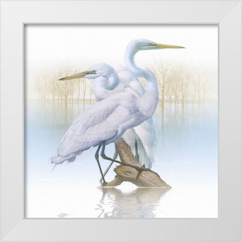 Misty Plumage I White Modern Wood Framed Art Print by Hunziker, Steve