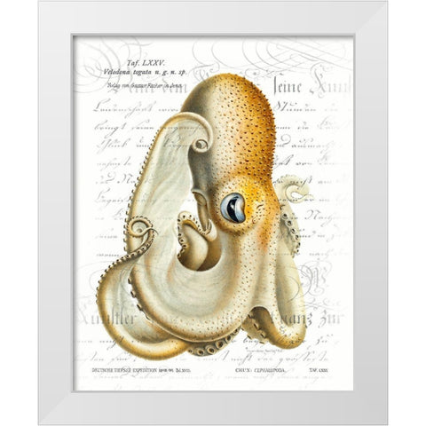 Octopus I White Modern Wood Framed Art Print by Hunziker, Steve