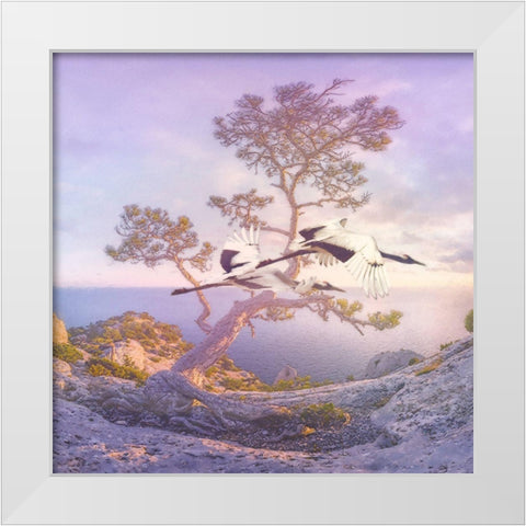 Mountain Crane I White Modern Wood Framed Art Print by Hunziker, Steve