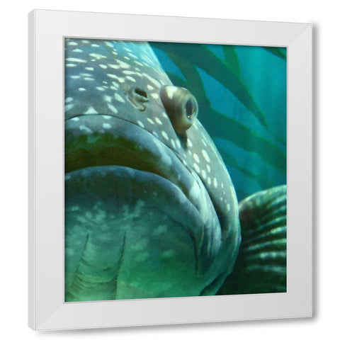 Turquoise Splash II White Modern Wood Framed Art Print by Hunziker, Steve