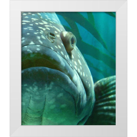 Turquoise Splash II White Modern Wood Framed Art Print by Hunziker, Steve