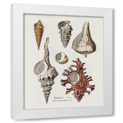 Repeating Image IV White Modern Wood Framed Art Print by Hunziker, Steve