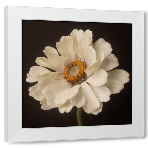 White Floral Portrait White Modern Wood Framed Art Print by Maclean, Leah