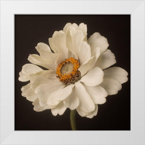 White Floral Portrait White Modern Wood Framed Art Print by Maclean, Leah