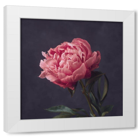 Perfectly Pink White Modern Wood Framed Art Print by Maclean, Leah