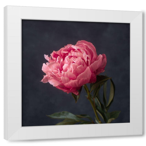 Perfectly Pink White Modern Wood Framed Art Print by Maclean, Leah