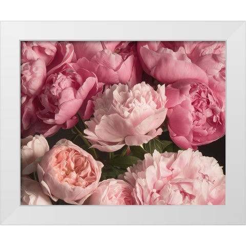 Pink Petals White Modern Wood Framed Art Print by Maclean, Leah