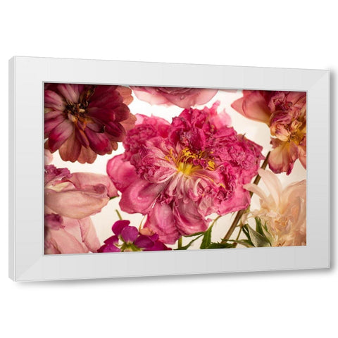Peony on White White Modern Wood Framed Art Print by Maclean, Leah