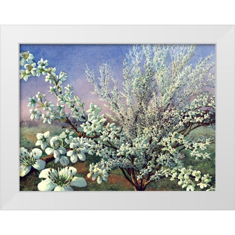 Fresh Tone White Modern Wood Framed Art Print by Wang, John
