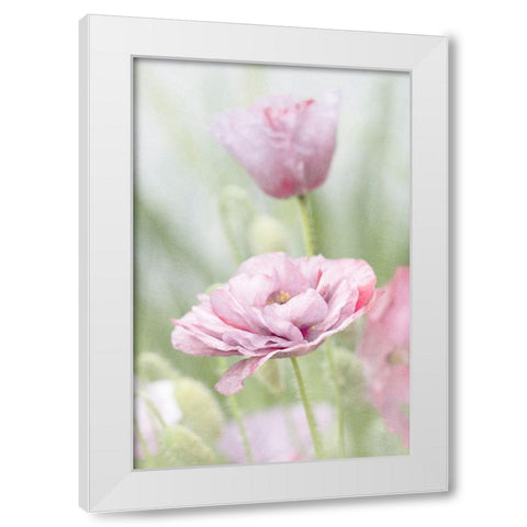 Two Poppies White Modern Wood Framed Art Print by Stalus, Judy