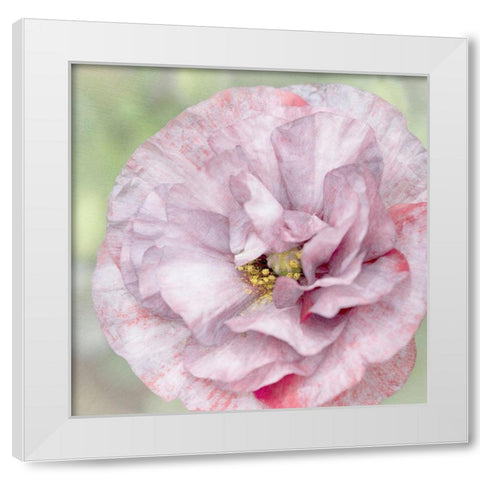 Jezebel White Modern Wood Framed Art Print by Stalus, Judy