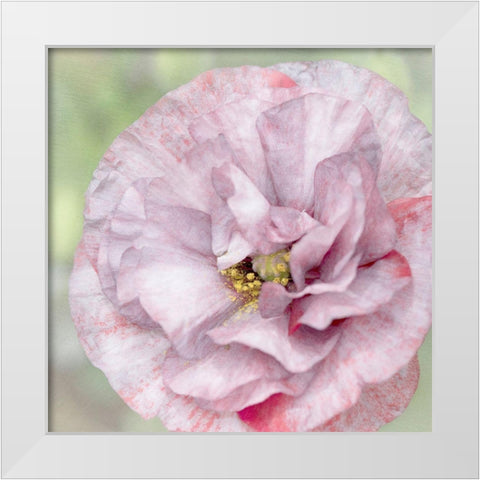 Jezebel White Modern Wood Framed Art Print by Stalus, Judy