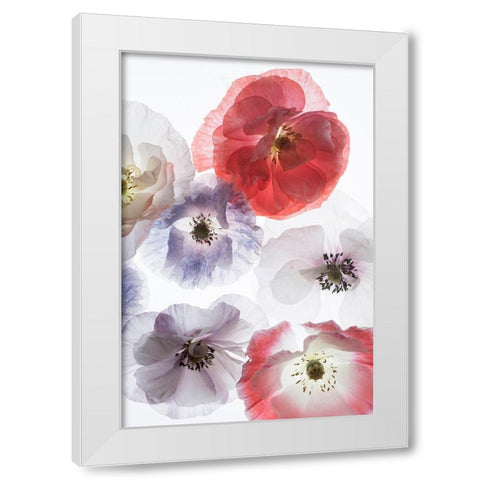 Dreaming Poppies White Modern Wood Framed Art Print by Stalus, Judy