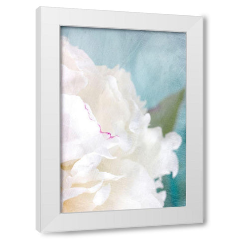 Peony Sky II White Modern Wood Framed Art Print by Stalus, Judy