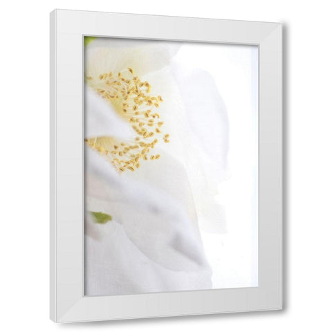 Gold Cup White Modern Wood Framed Art Print by Stalus, Judy