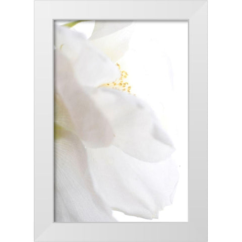 Petals White Modern Wood Framed Art Print by Stalus, Judy