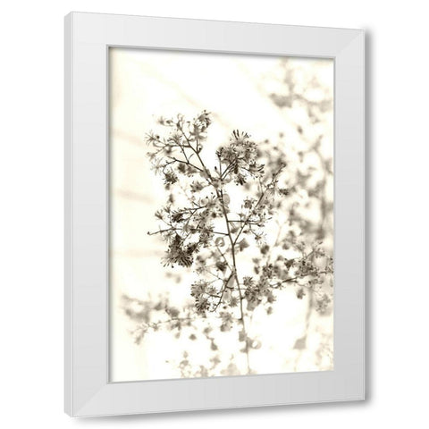 Spent White Modern Wood Framed Art Print by Stalus, Judy