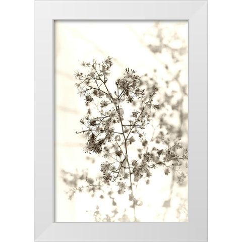 Spent White Modern Wood Framed Art Print by Stalus, Judy
