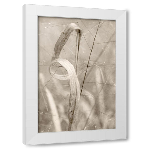 Meadow Grass White Modern Wood Framed Art Print by Stalus, Judy