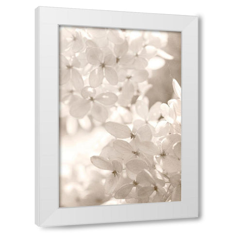 Sunlight White Modern Wood Framed Art Print by Stalus, Judy