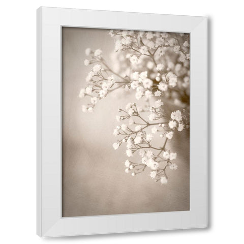 Cascade White Modern Wood Framed Art Print by Stalus, Judy