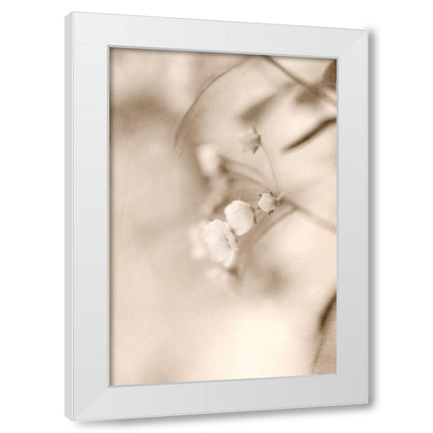 Softly White Modern Wood Framed Art Print by Stalus, Judy