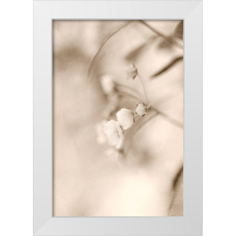 Softly White Modern Wood Framed Art Print by Stalus, Judy