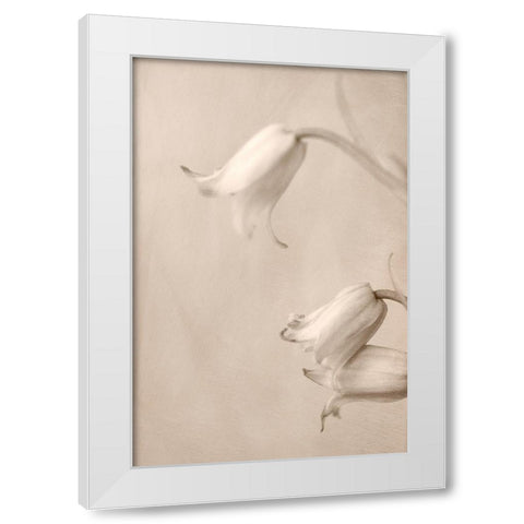 Bells White Modern Wood Framed Art Print by Stalus, Judy