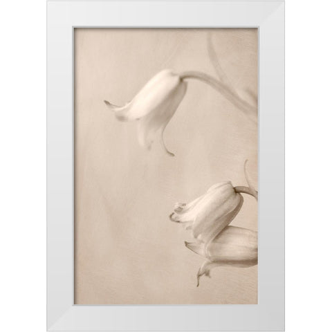 Bells White Modern Wood Framed Art Print by Stalus, Judy