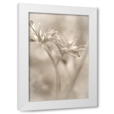 Summer II White Modern Wood Framed Art Print by Stalus, Judy