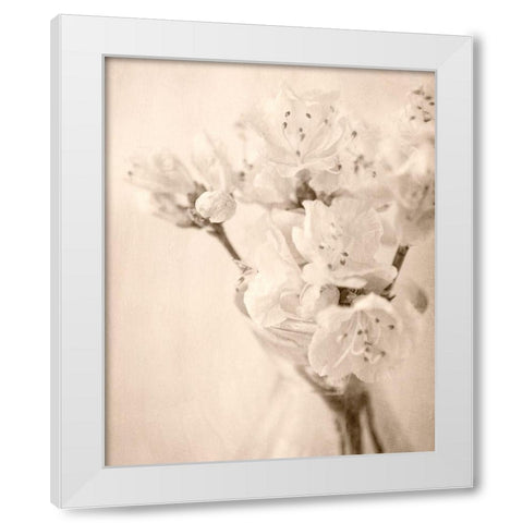 Azalea II White Modern Wood Framed Art Print by Stalus, Judy