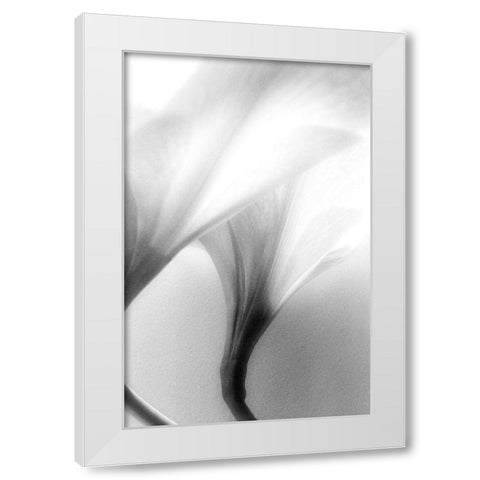 Jeavenly White Modern Wood Framed Art Print by Stalus, Judy