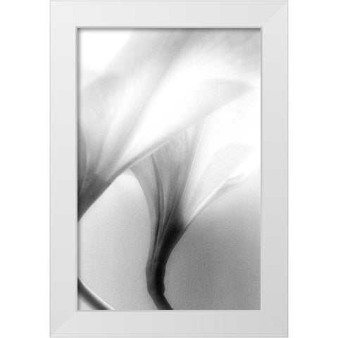 Jeavenly White Modern Wood Framed Art Print by Stalus, Judy