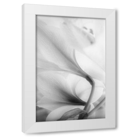 Reach for the Sky White Modern Wood Framed Art Print by Stalus, Judy
