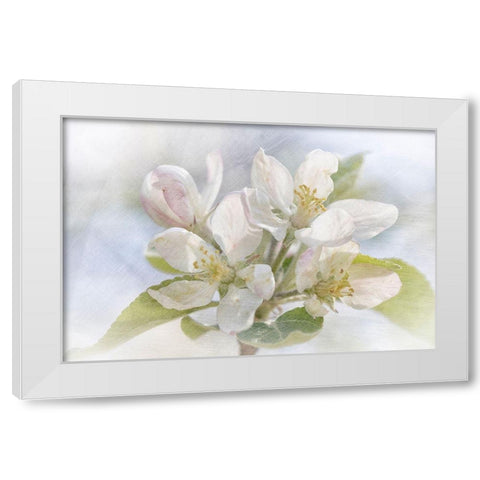 Spring Blossoms White Modern Wood Framed Art Print by Stalus, Judy