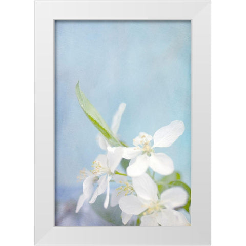 Blue Sky White Modern Wood Framed Art Print by Stalus, Judy