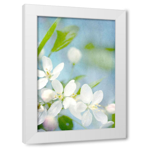 Spring Time White Modern Wood Framed Art Print by Stalus, Judy