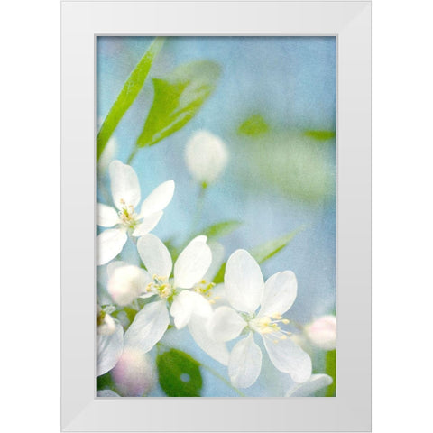 Spring Time White Modern Wood Framed Art Print by Stalus, Judy