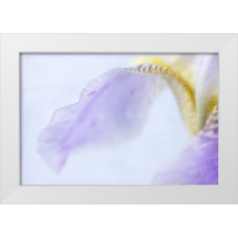 Iris White Modern Wood Framed Art Print by Stalus, Judy