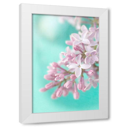 Lilac White Modern Wood Framed Art Print by Stalus, Judy