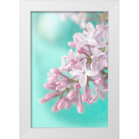Lilac White Modern Wood Framed Art Print by Stalus, Judy
