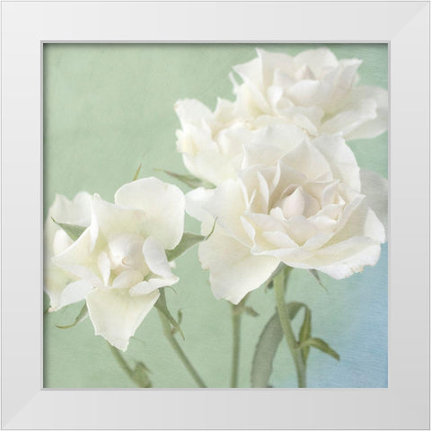 White Rose White Modern Wood Framed Art Print by Stalus, Judy