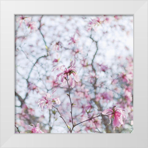 Magnolia Tree White Modern Wood Framed Art Print by Stalus, Judy