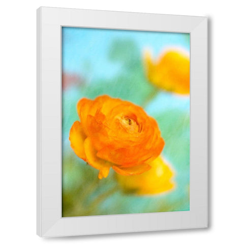 Bright White Modern Wood Framed Art Print by Stalus, Judy
