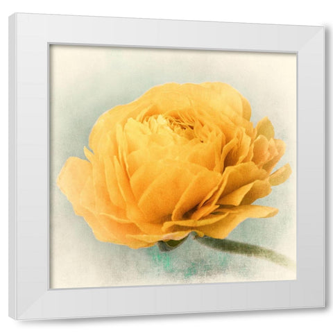 Golden White Modern Wood Framed Art Print by Stalus, Judy