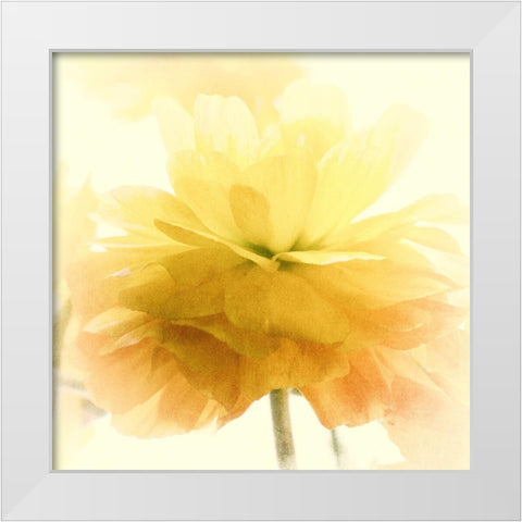 Dancing White Modern Wood Framed Art Print by Stalus, Judy